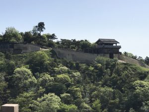 IMG_0487
